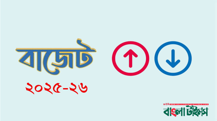 যেসব পণ্যের দাম বাড়তে পারে ও কমতে পারে